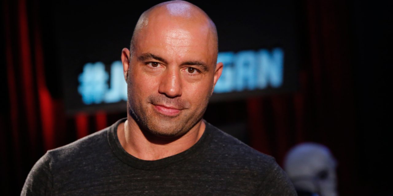 joe rogan bald