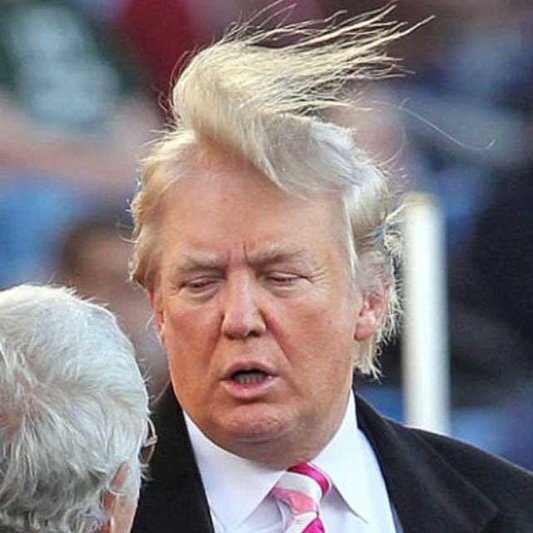 donald trump hair transparent