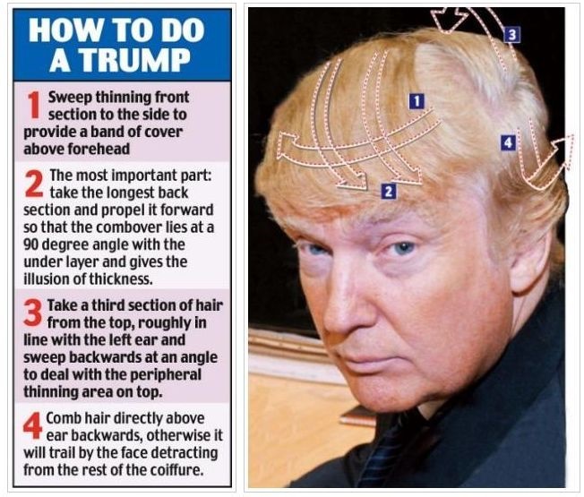 donald trump hair transparent