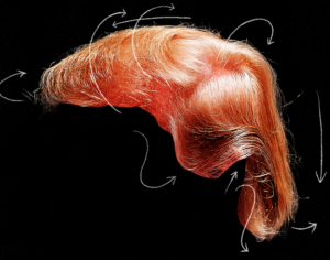 gawker trump hair